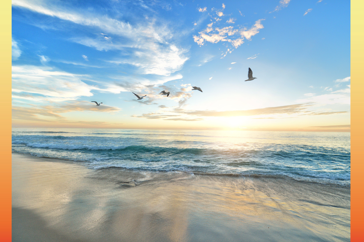 Breathing-and-Meditation Workshop